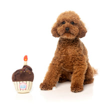 Load image into Gallery viewer, Fuzzyard Plush Toys Birthday Cupcake
