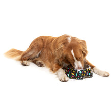 Load image into Gallery viewer, Fuzzyard Easy Feeder Bowl Bel Air
